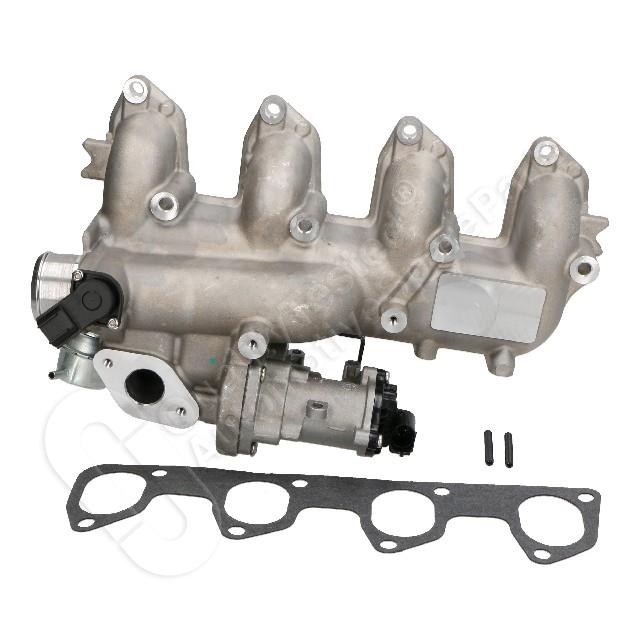 1145/EGR-0312_1.jpg