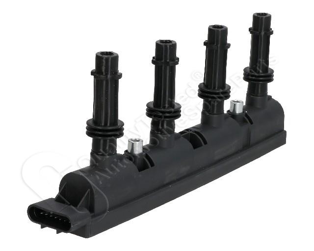 689/BO-W09_1.jpg