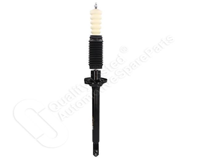 854/MM-00685_2.jpg