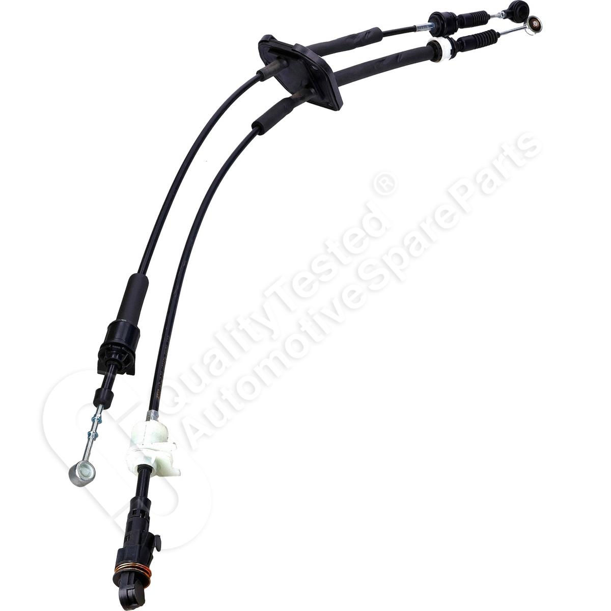 1787/BCV-02163_1.jpg