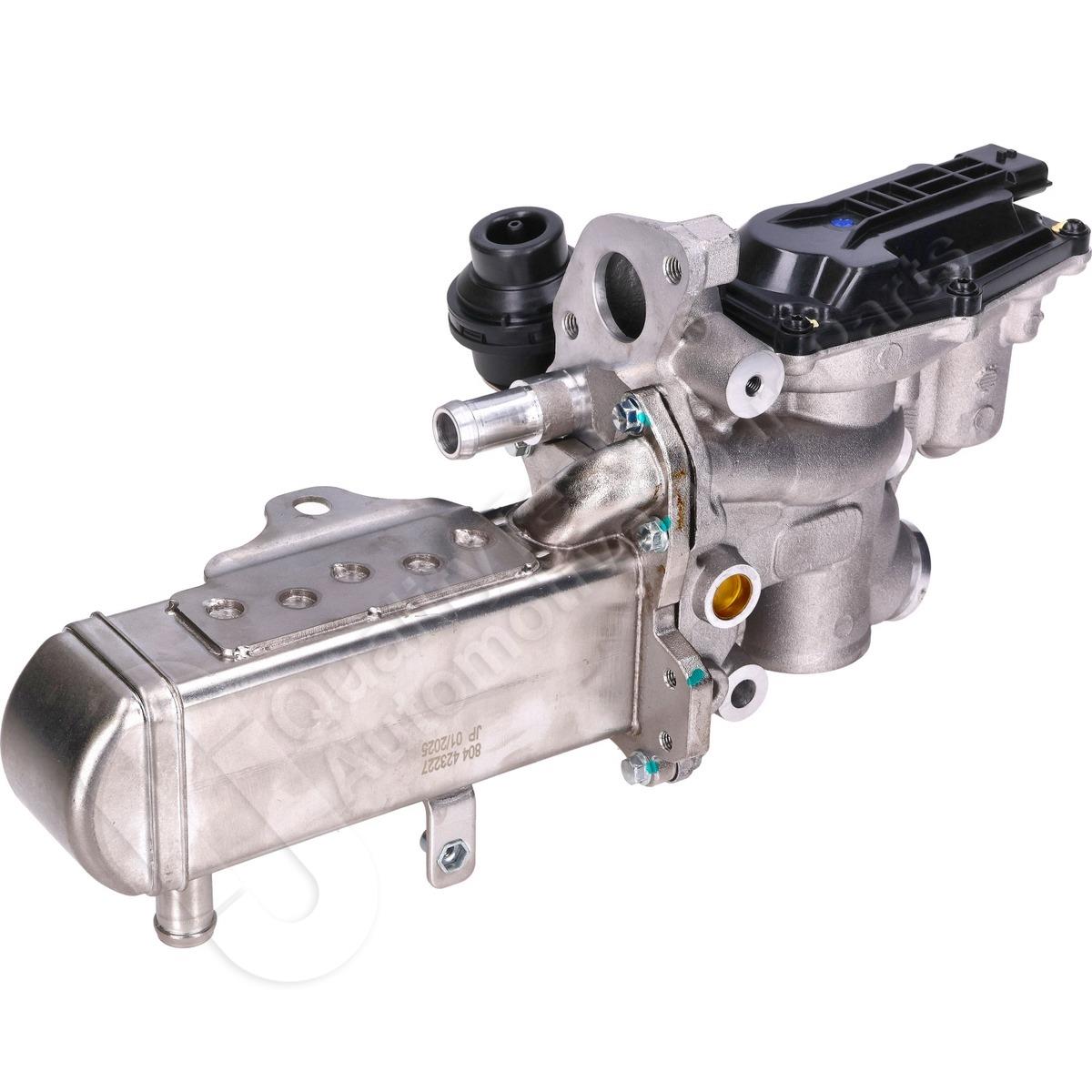 1145/EGR-0804_2.jpg