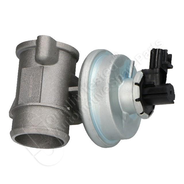1145/EGR-0305_3.jpg