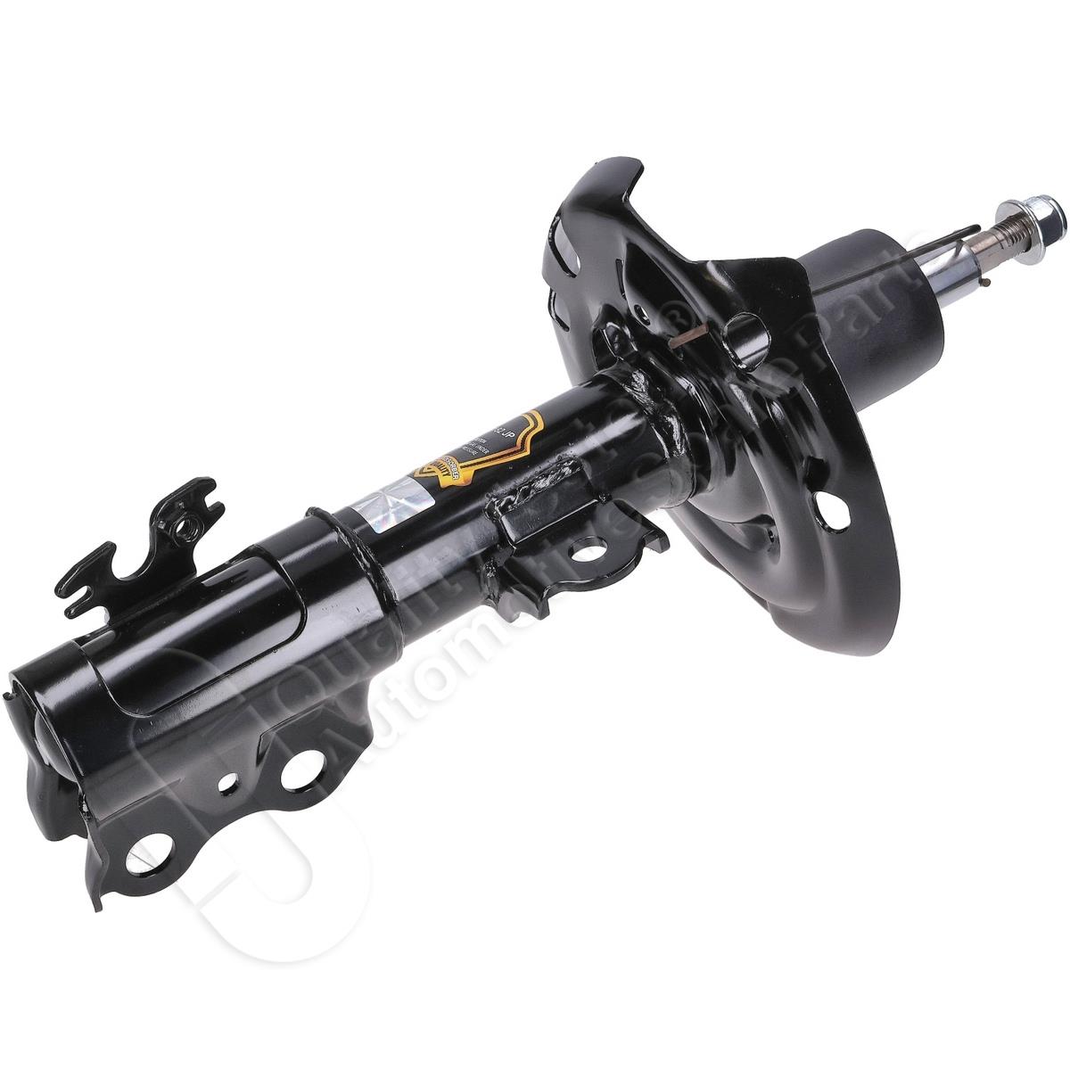 854/MM-01251_1.jpg