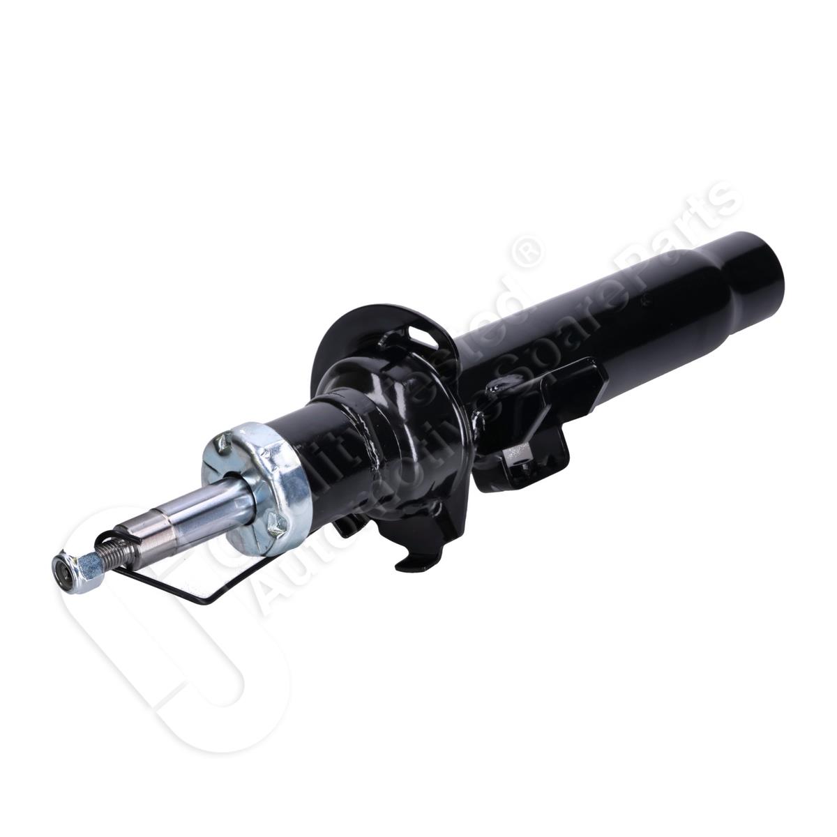 854/MM-01262_2.jpg