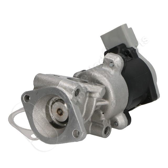 1145/EGR-L08_2.jpg