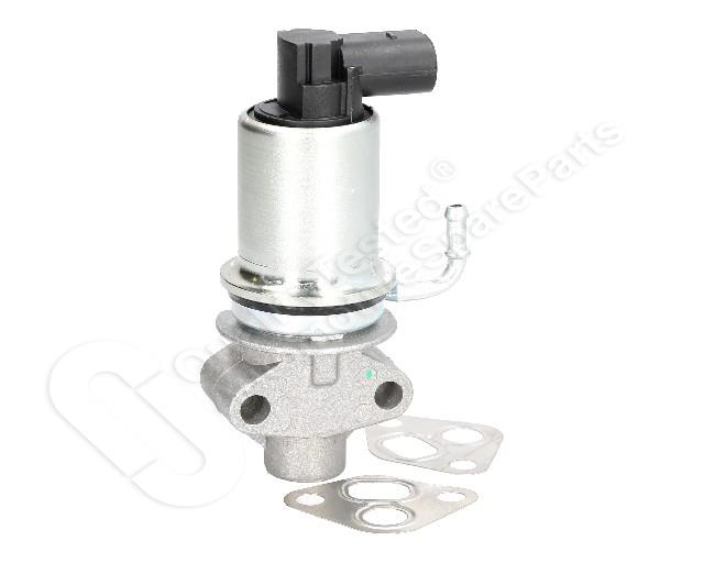 1145/EGR-0913_4.jpg